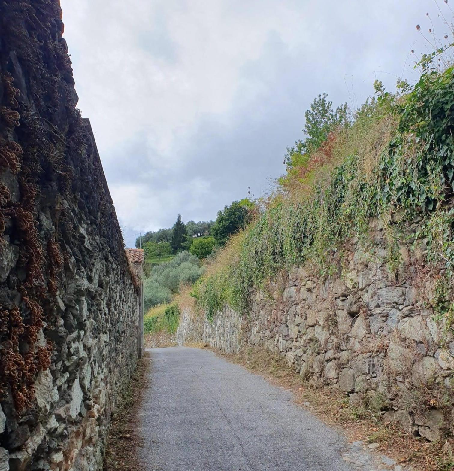 Ca Teodoi Génova Exterior foto
